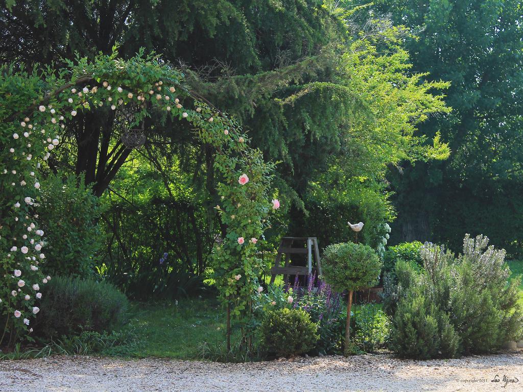La Vigna B&B Treviso Exterior foto